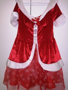 Adult Female Costumes to Hire - * Mrs Claus dress with Snowflakes *